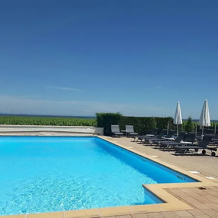 Chateau De Pizay 4*
