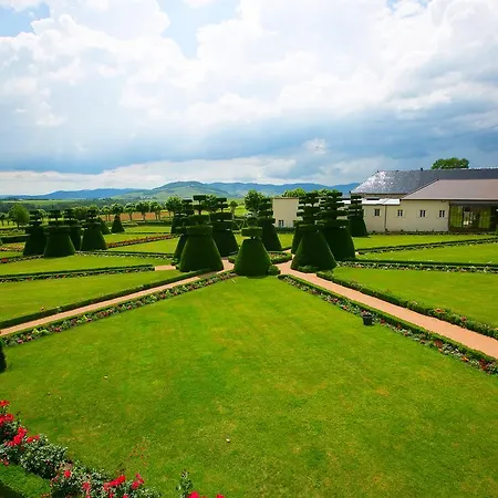 Chateau De Pizay Hotel 4*