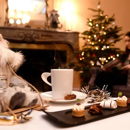 Отель Chateau De Pizay