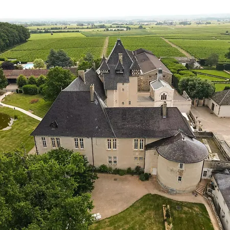 Отель Chateau De Pizay