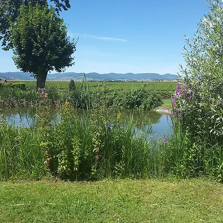 Chateau De Pizay 4*