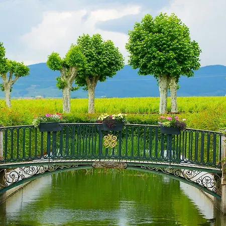 Отель Chateau De Pizay
